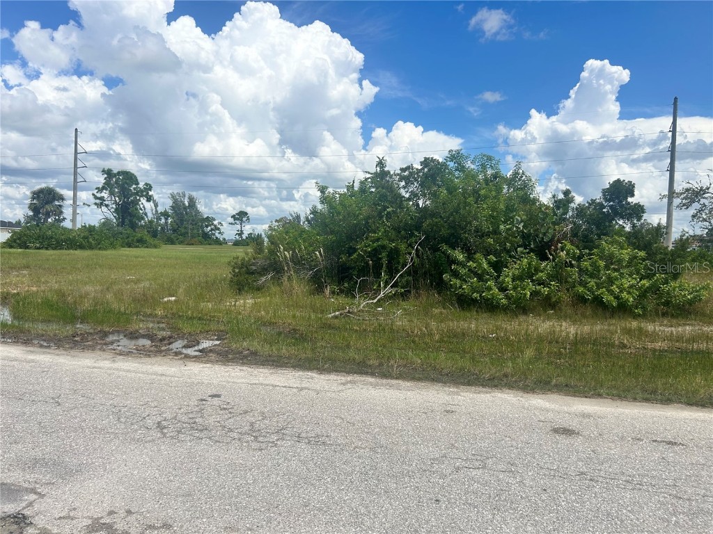 1219 NW 24th Place Cape Coral FL 33993 TB8419456 image1