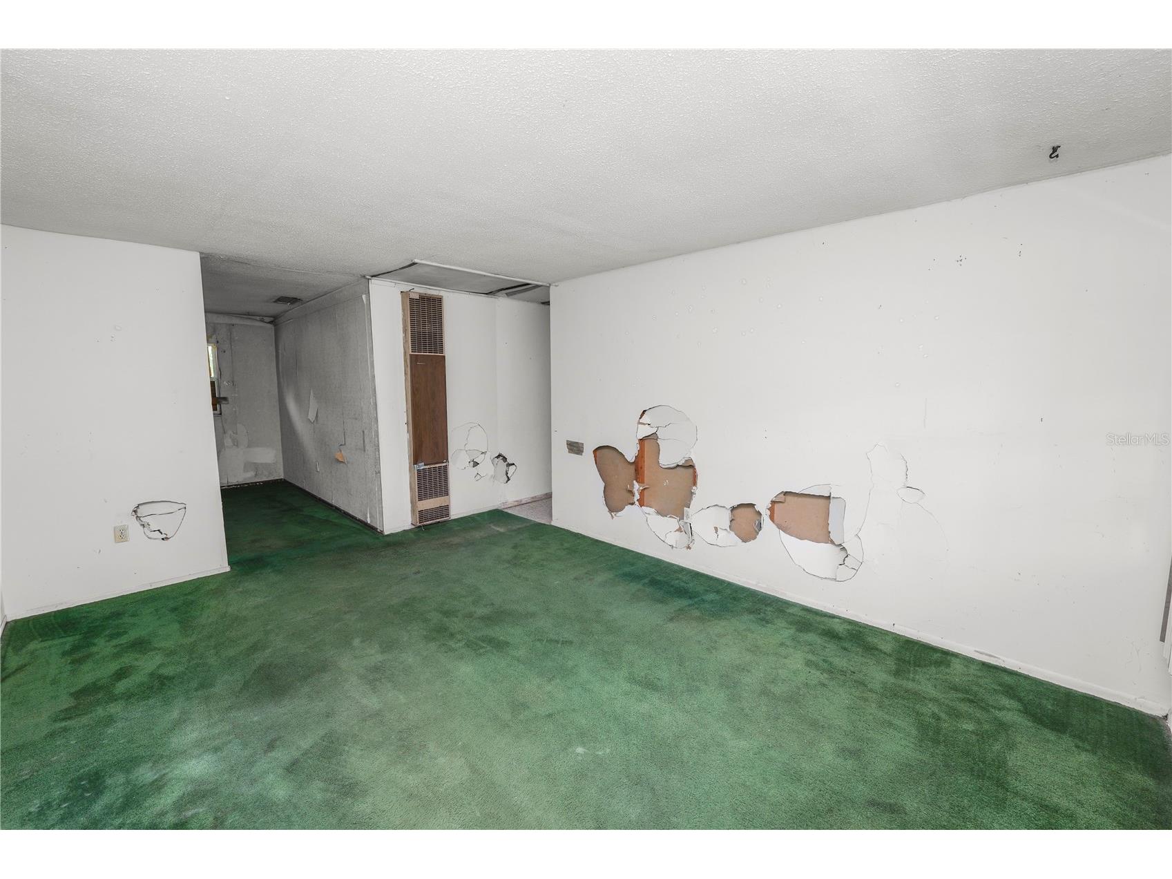 1219 Robert King High Drive Lakeland FL 33805 L4960381 image8