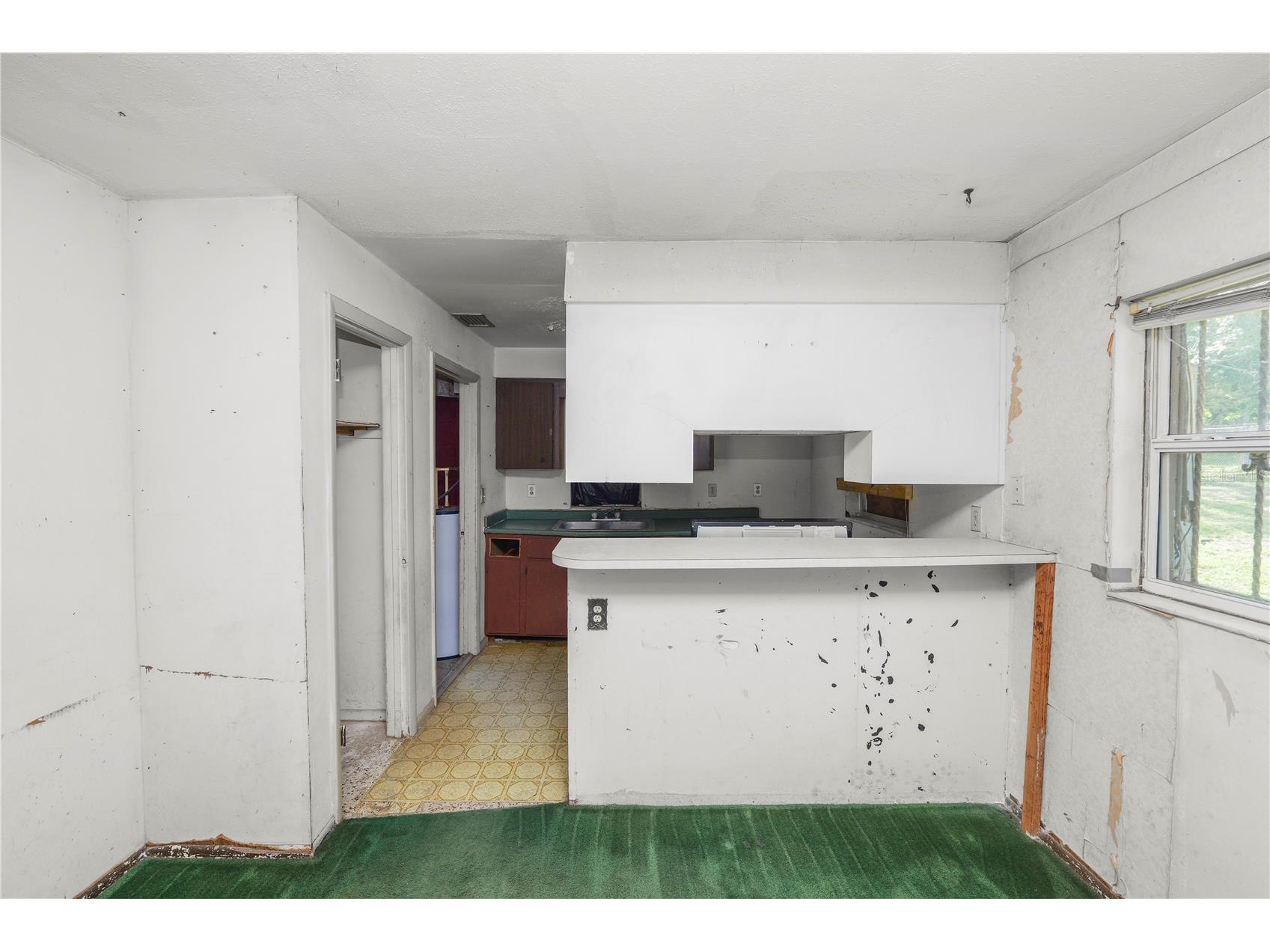 1219 Robert King High Drive Lakeland FL 33805 L4960381 image9