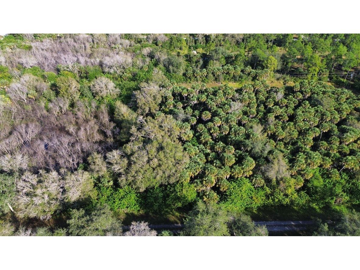 1219 Rosita Street E Lehigh Acres FL 33974 O6393773 image2