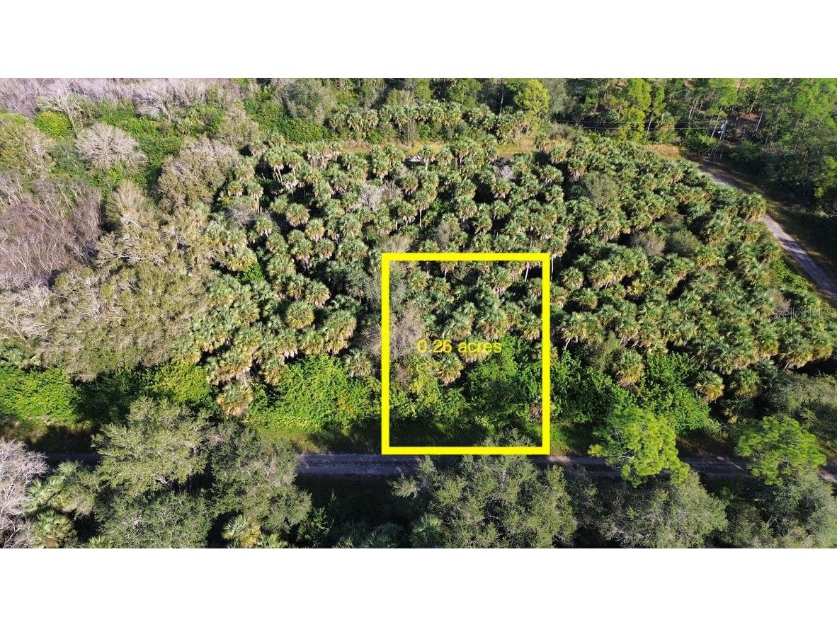 1219 Rosita Street E Lehigh Acres FL 33974 O6393773 image3