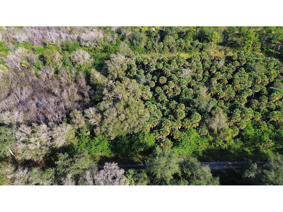1219 Rosita Street E Lehigh Acres FL 33974 O6393773 image5