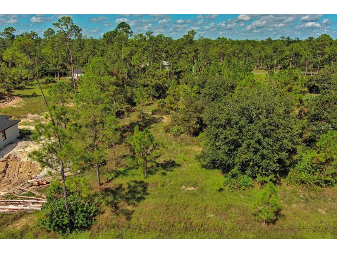 1219 Washington Avenue Lehigh Acres FL 33972 O6344850 image6