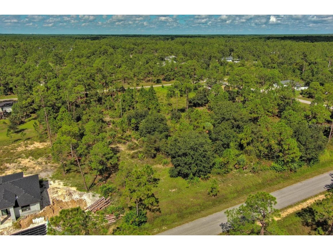 1219 Washington Avenue Lehigh Acres FL 33972 O6344850 image9