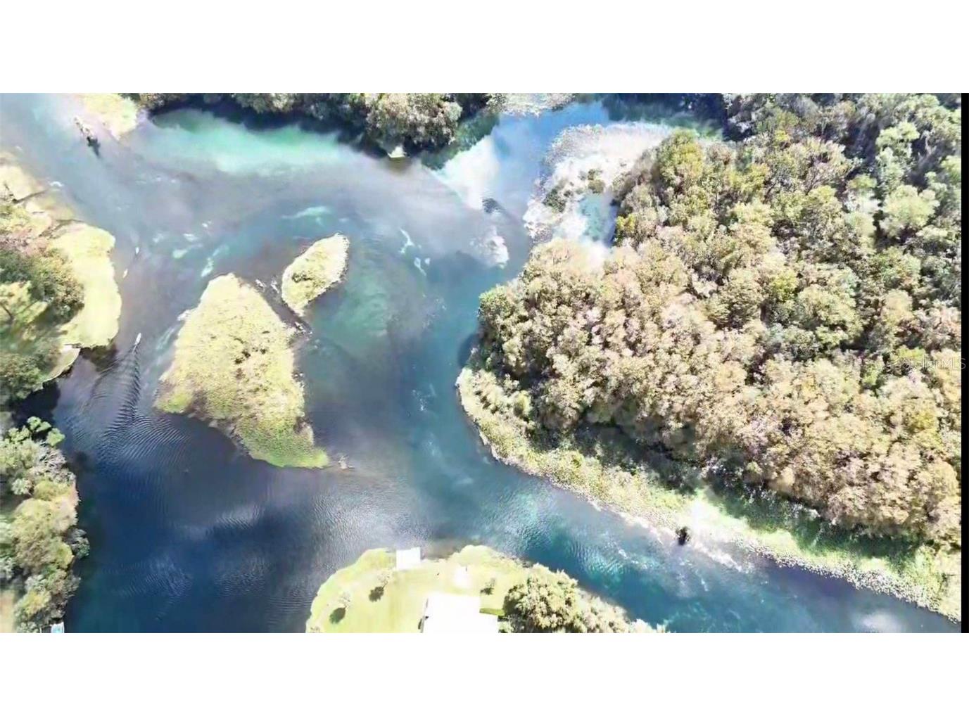 12190 Maple Street Dunnellon FL 34432 - THE RAINBOW RIVER OM687210 image3