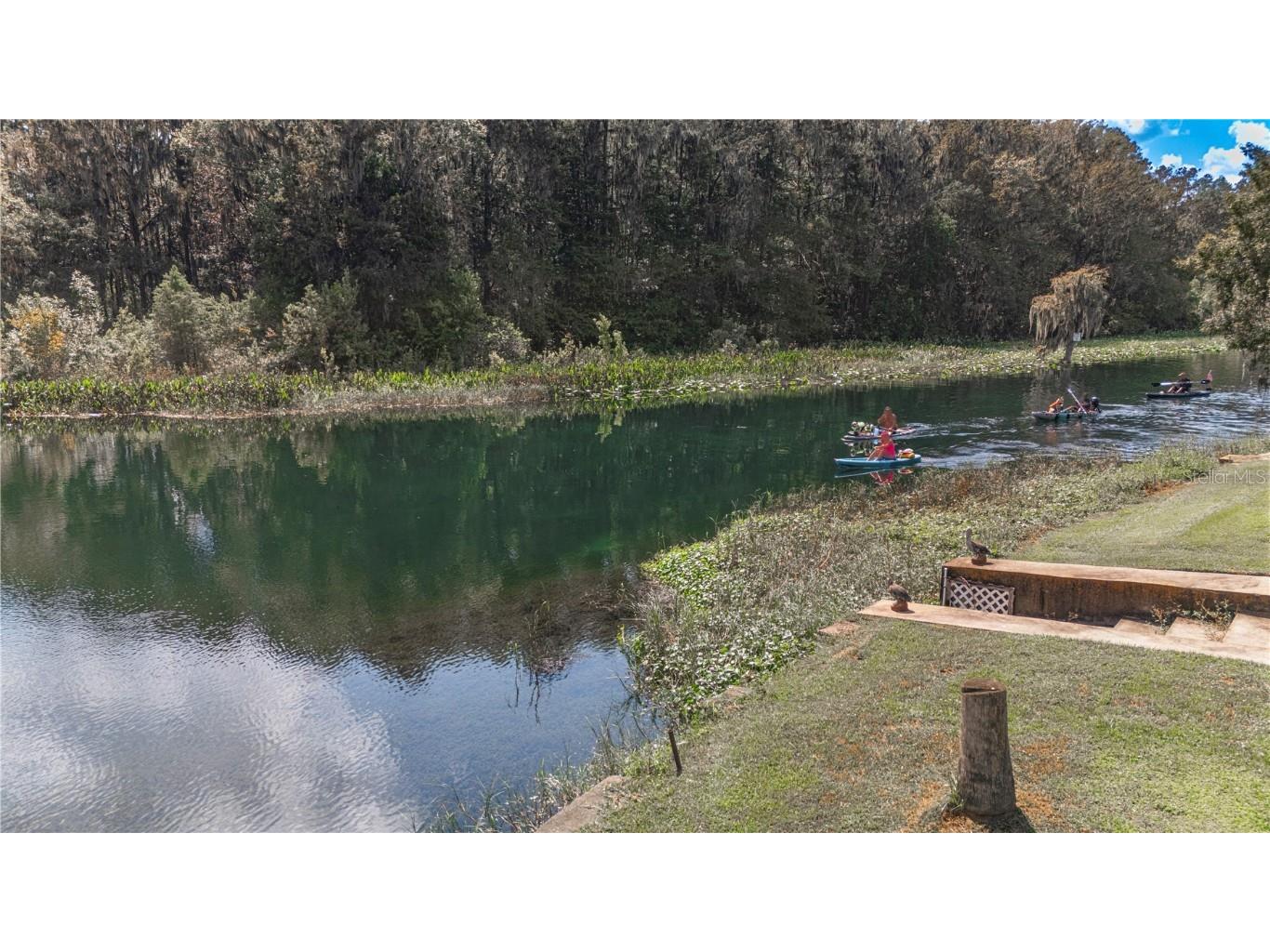 12190 Maple Street Dunnellon FL 34432 - THE RAINBOW RIVER OM687210 image47