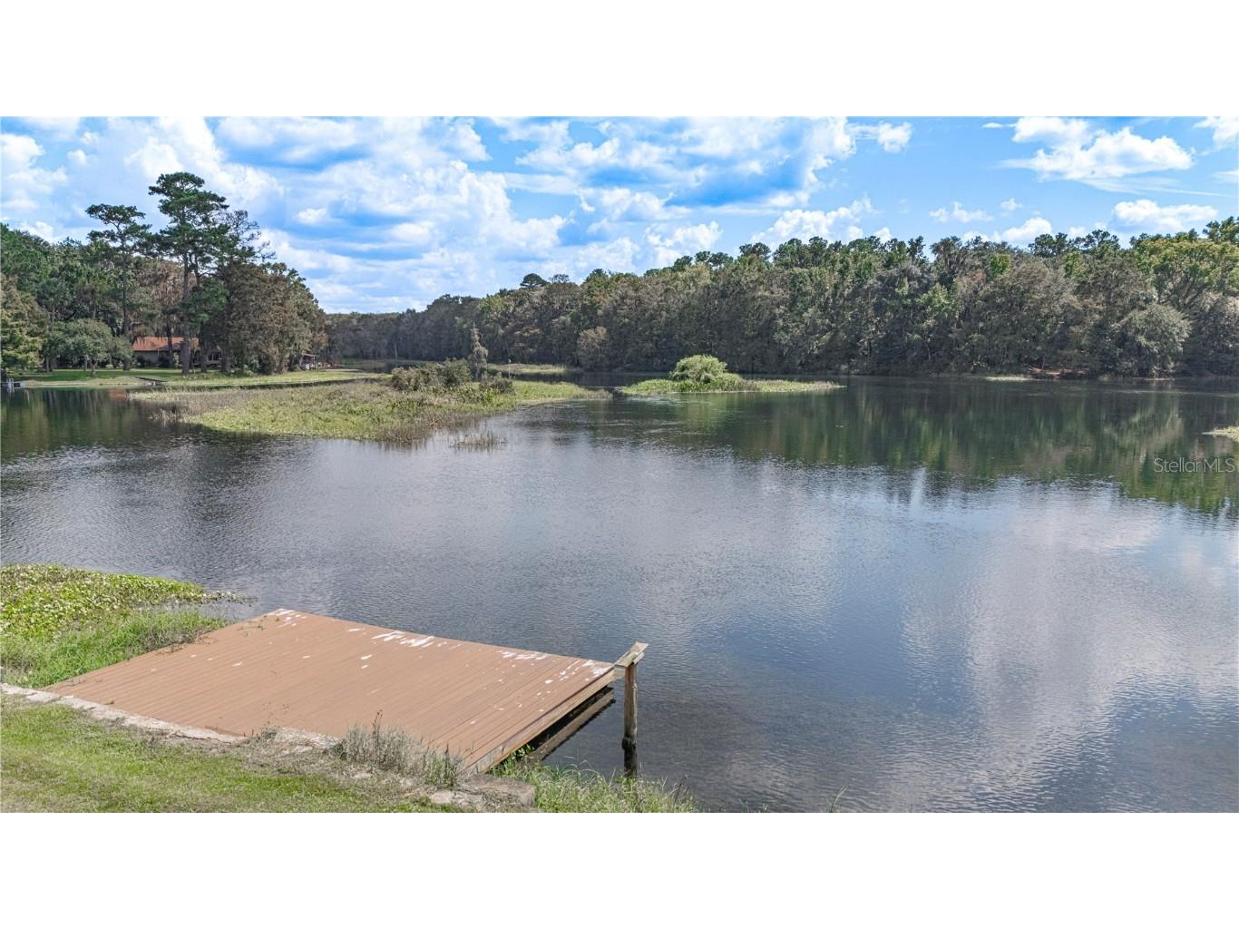 12190 Maple Street Dunnellon FL 34432 - THE RAINBOW RIVER OM687210 image60