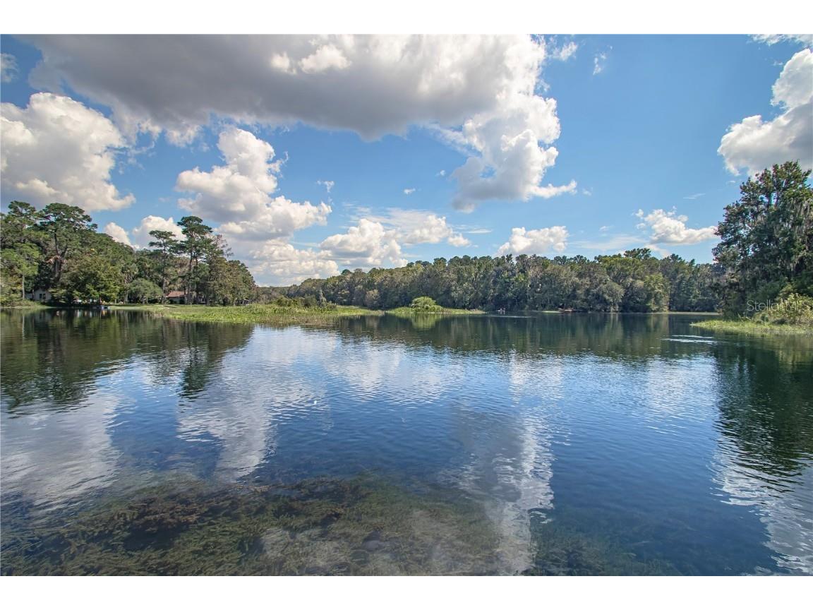 12190 Maple Street Dunnellon FL 34432 - THE RAINBOW RIVER OM687210 image61