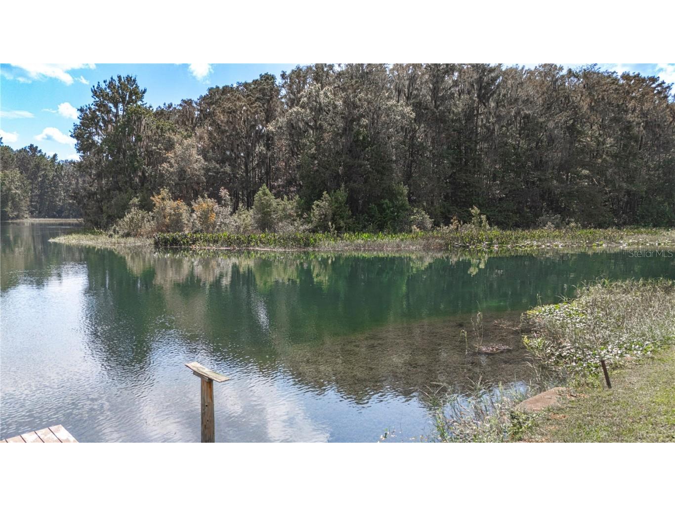 12190 Maple Street Dunnellon FL 34432 - THE RAINBOW RIVER OM687210 image67