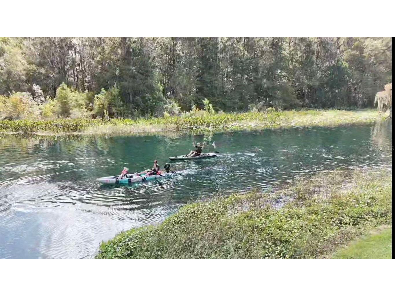 12190 Maple Street Dunnellon FL 34432 - THE RAINBOW RIVER OM687210 image69