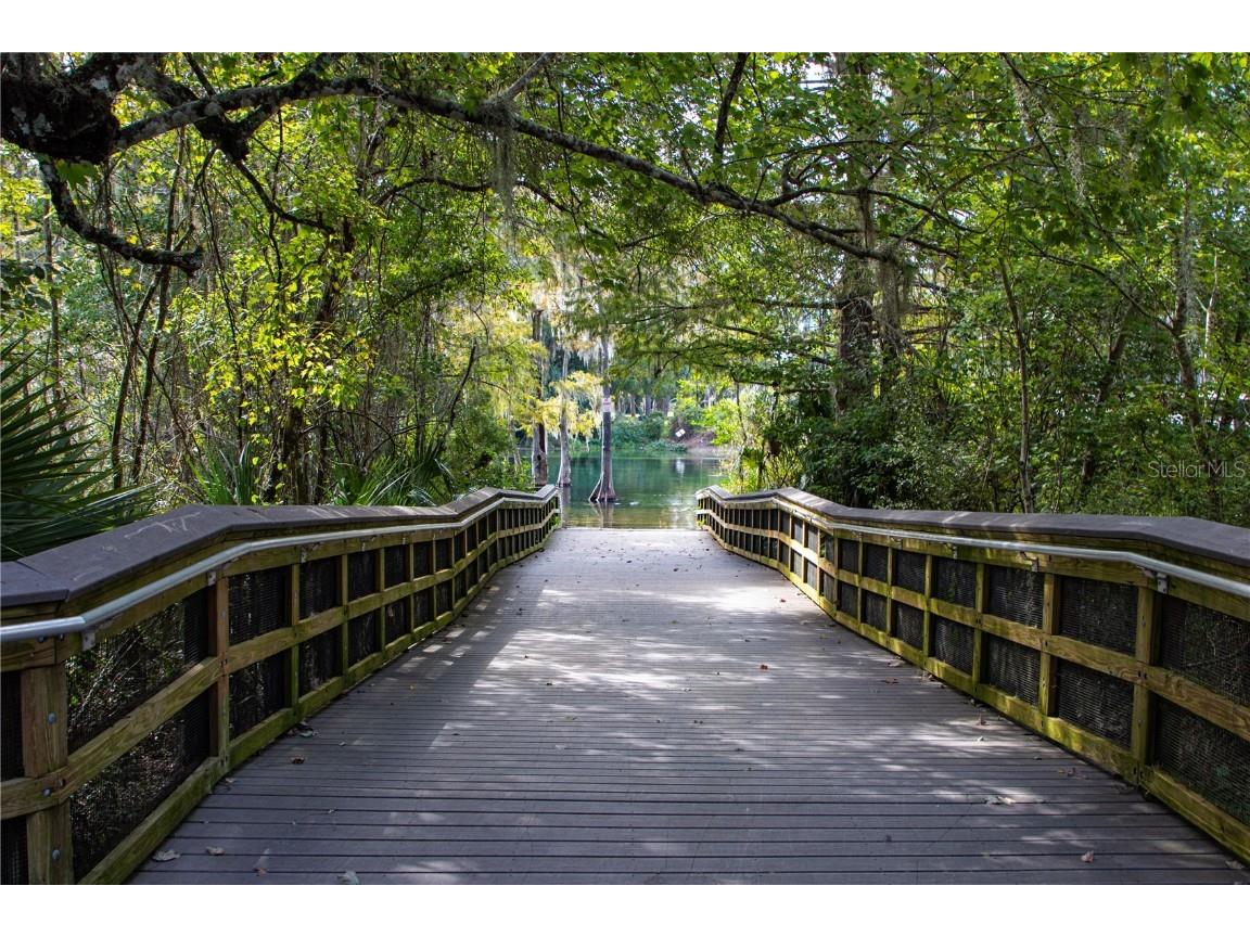 12190 Maple Street Dunnellon FL 34432 - THE RAINBOW RIVER OM687210 image71