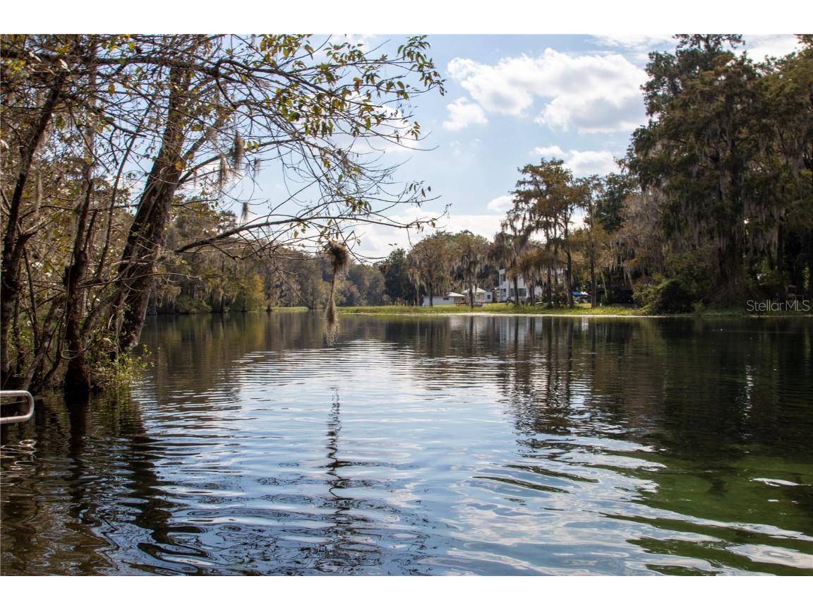 12190 Maple Street Dunnellon FL 34432 - THE RAINBOW RIVER OM687210 image72