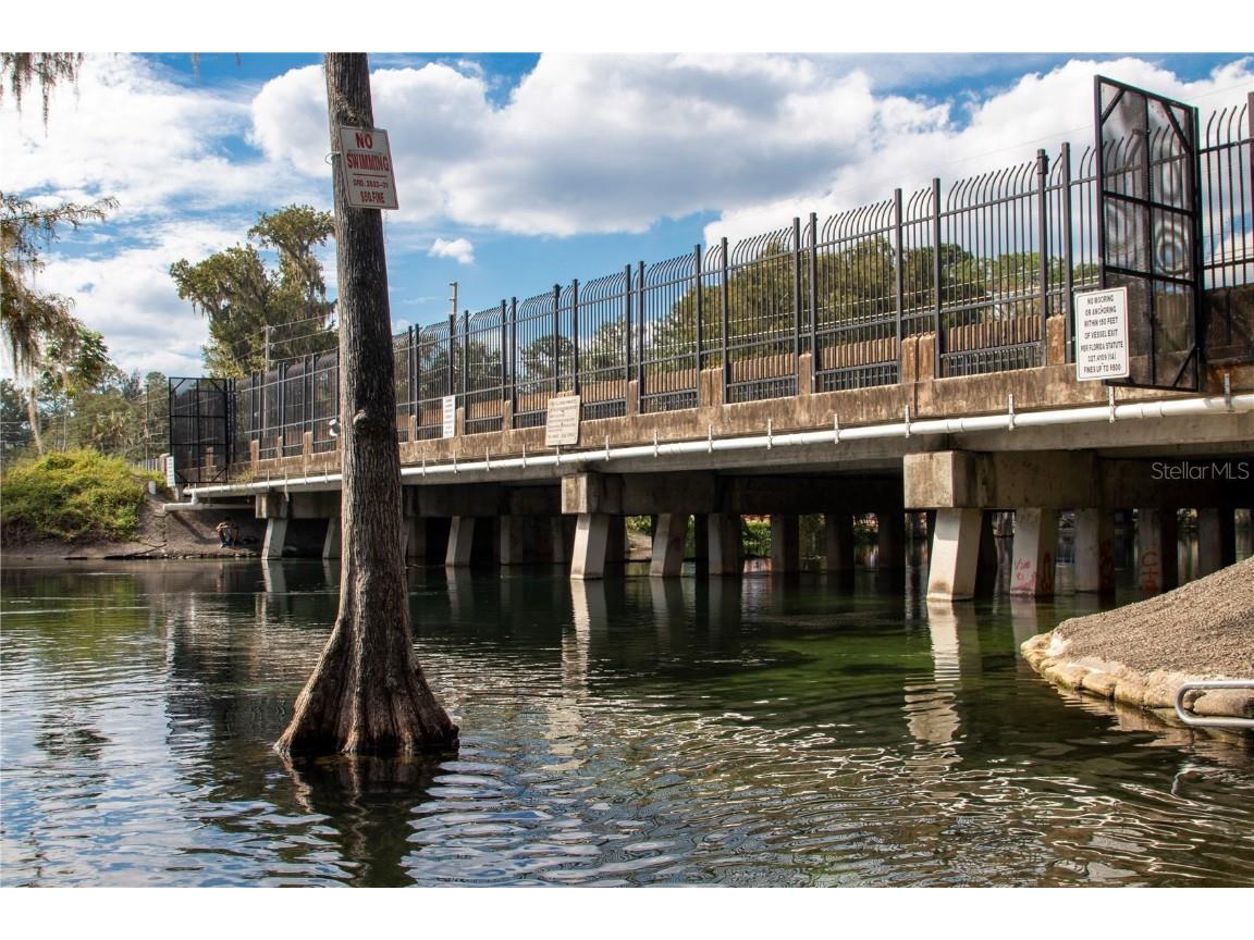 12190 Maple Street Dunnellon FL 34432 - THE RAINBOW RIVER OM687210 image73