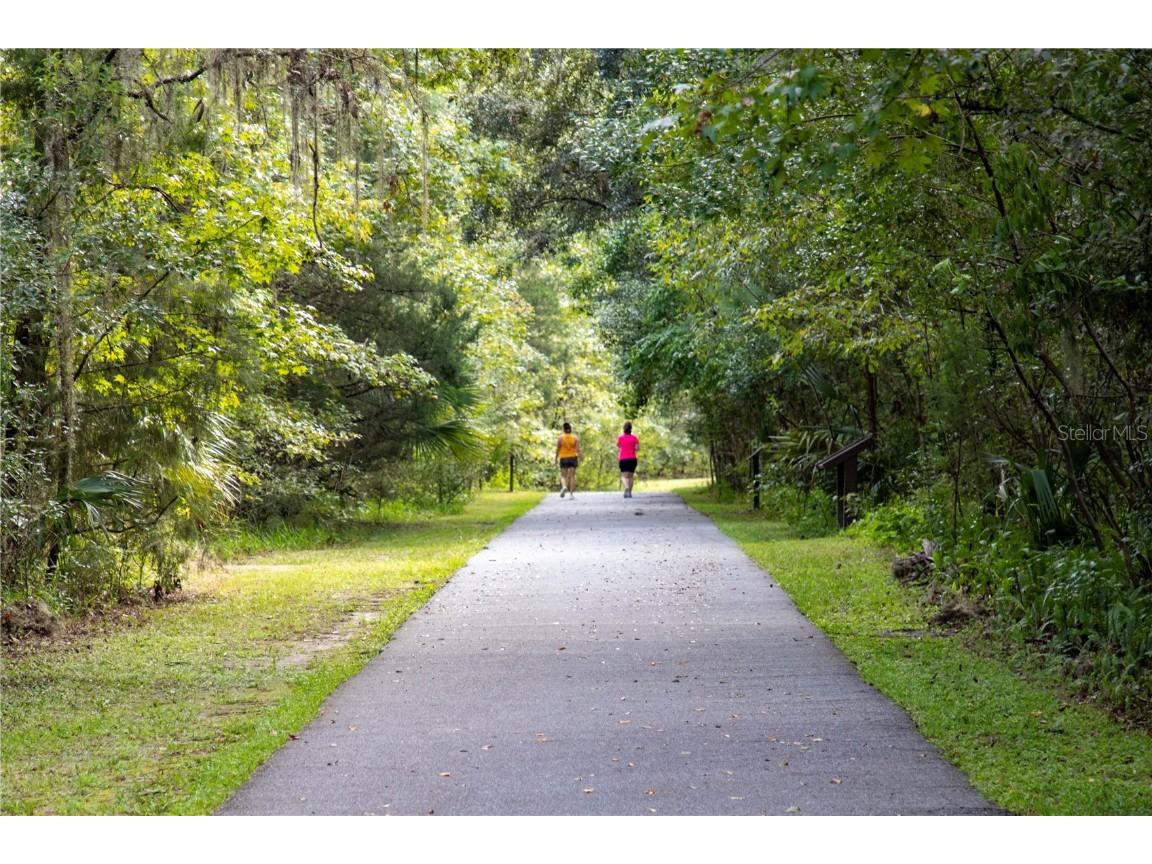 12190 Maple Street Dunnellon FL 34432 - THE RAINBOW RIVER OM687210 image75