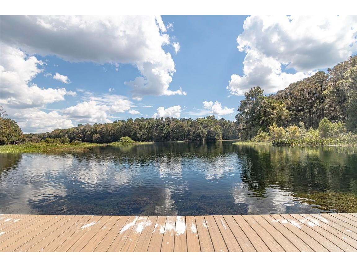 12190 Maple Street Dunnellon FL 34432 - THE RAINBOW RIVER OM687210 image8
