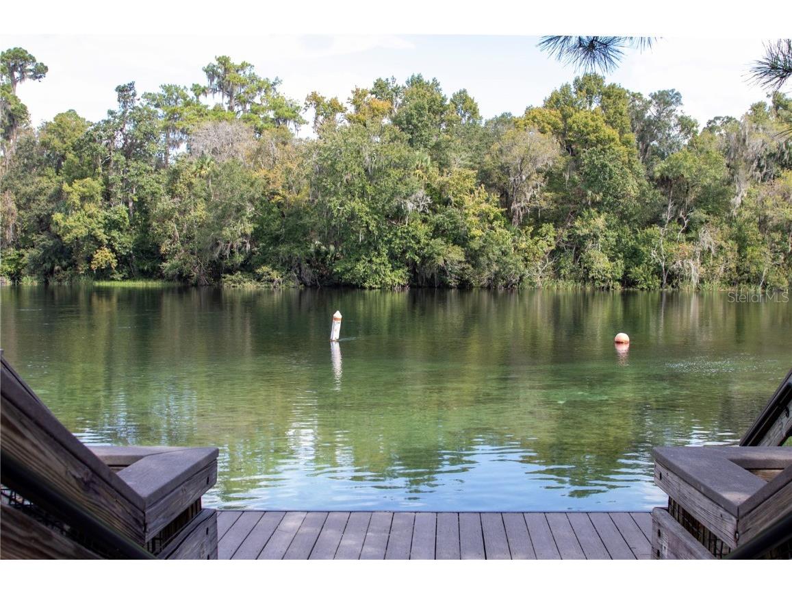 12190 Maple Street Dunnellon FL 34432 - THE RAINBOW RIVER OM687210 image80