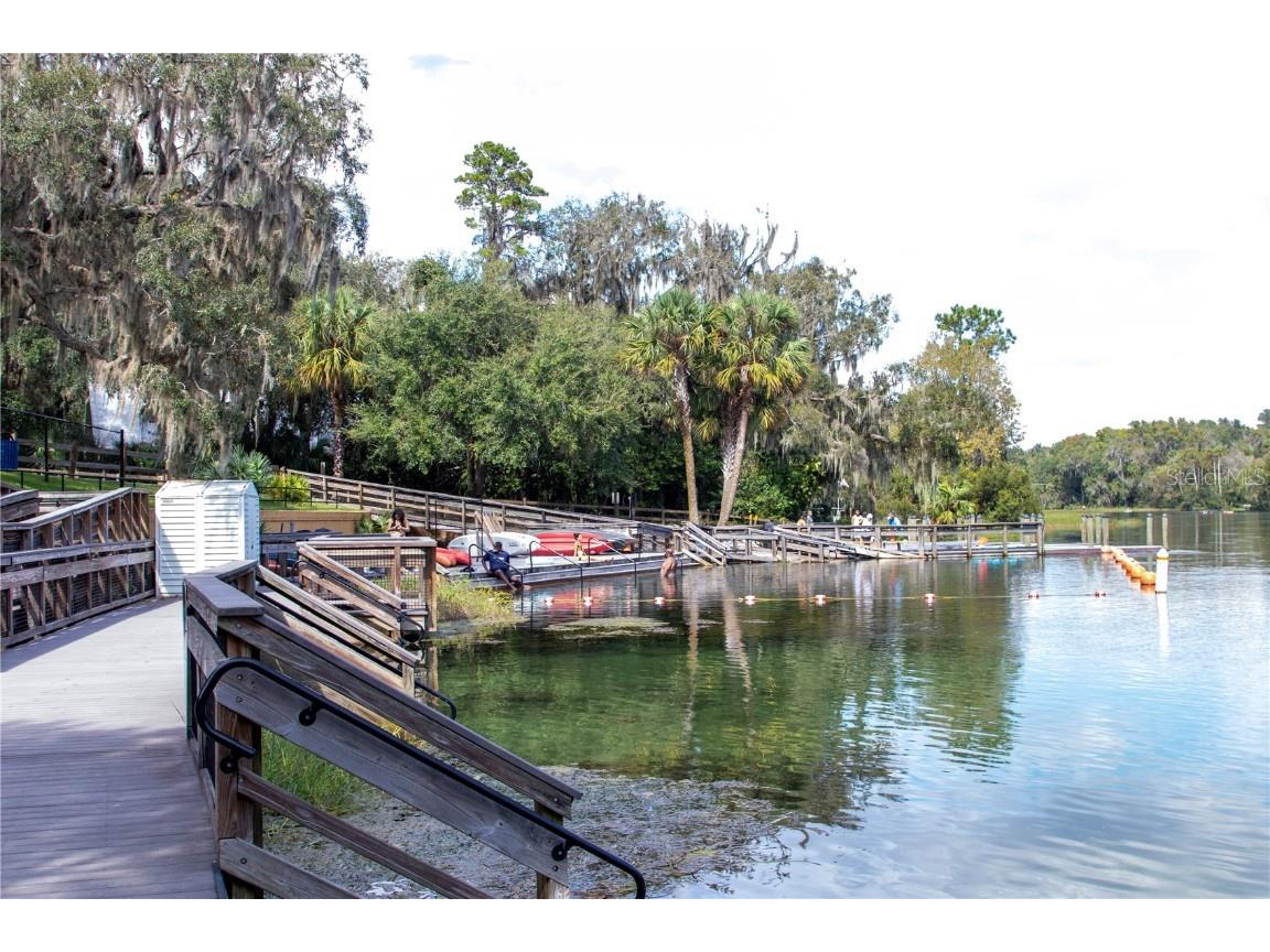 12190 Maple Street Dunnellon FL 34432 - THE RAINBOW RIVER OM687210 image81