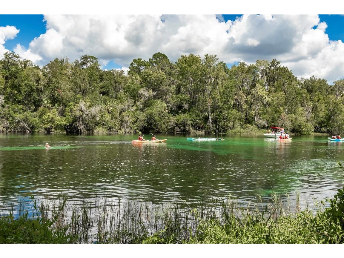 12190 Maple Street Dunnellon FL 34432 - THE RAINBOW RIVER OM687210 image83