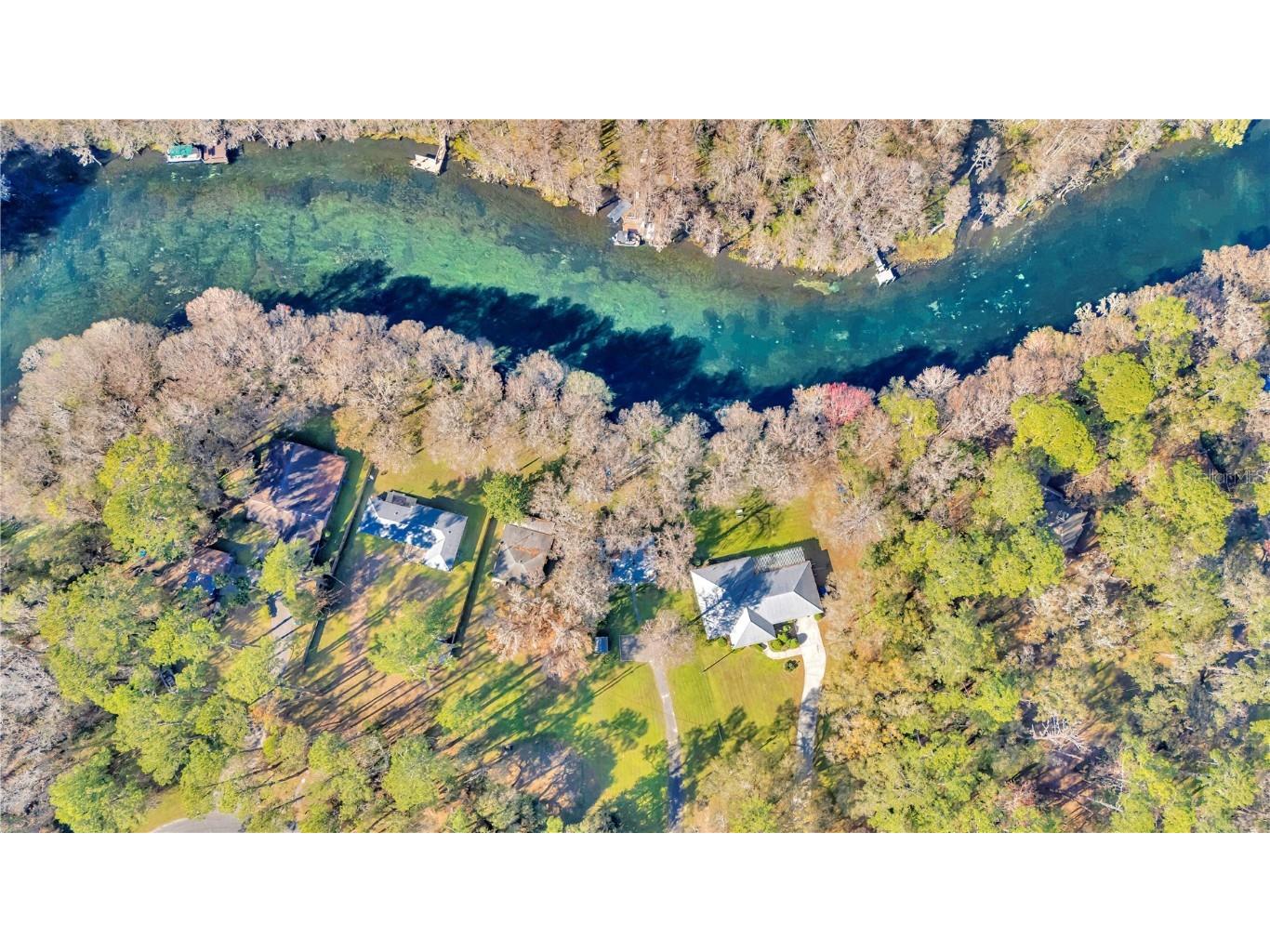 12190 Maple Street Dunnellon FL 34432 - THE RAINBOW RIVER OM687210 image84