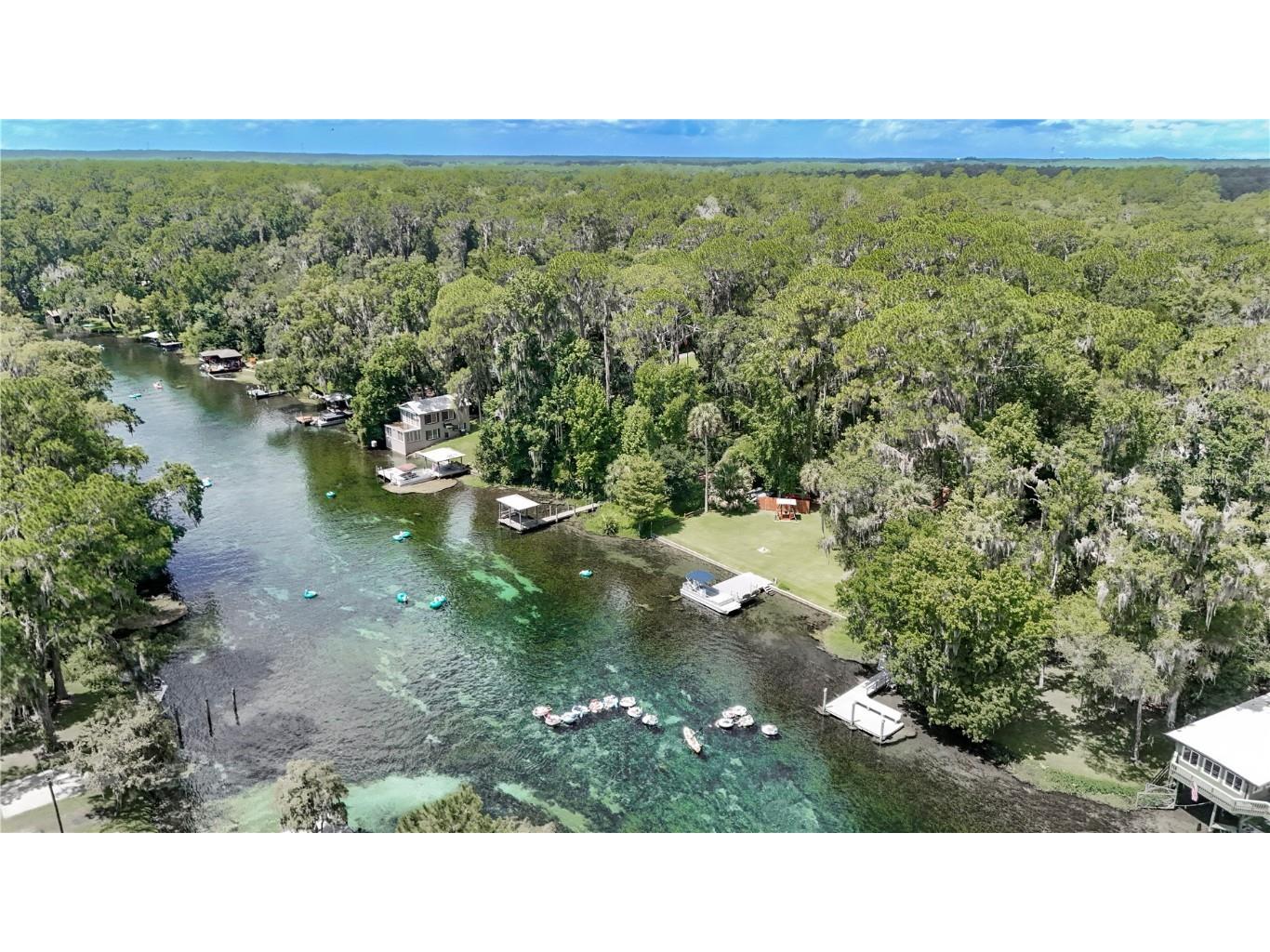 12190 Maple Street Dunnellon FL 34432 - THE RAINBOW RIVER OM687210 image87