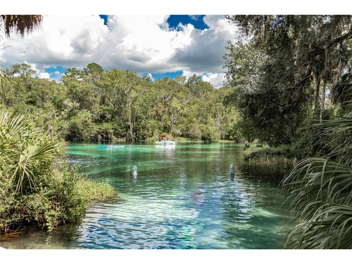 12190 Maple Street Dunnellon FL 34432 - THE RAINBOW RIVER OM687210 image88