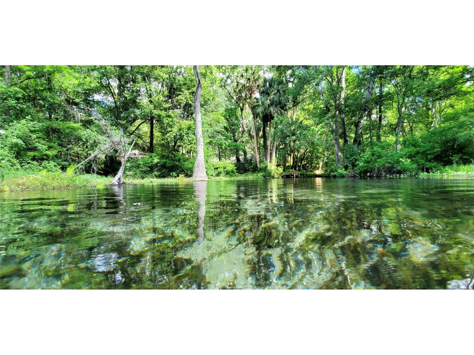 12190 Maple Street Dunnellon FL 34432 - THE RAINBOW RIVER OM687210 image89