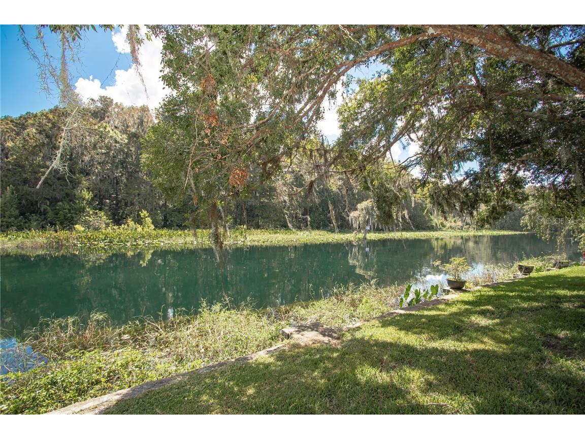 12190 Maple Street Dunnellon FL 34432 - THE RAINBOW RIVER OM687210 image9