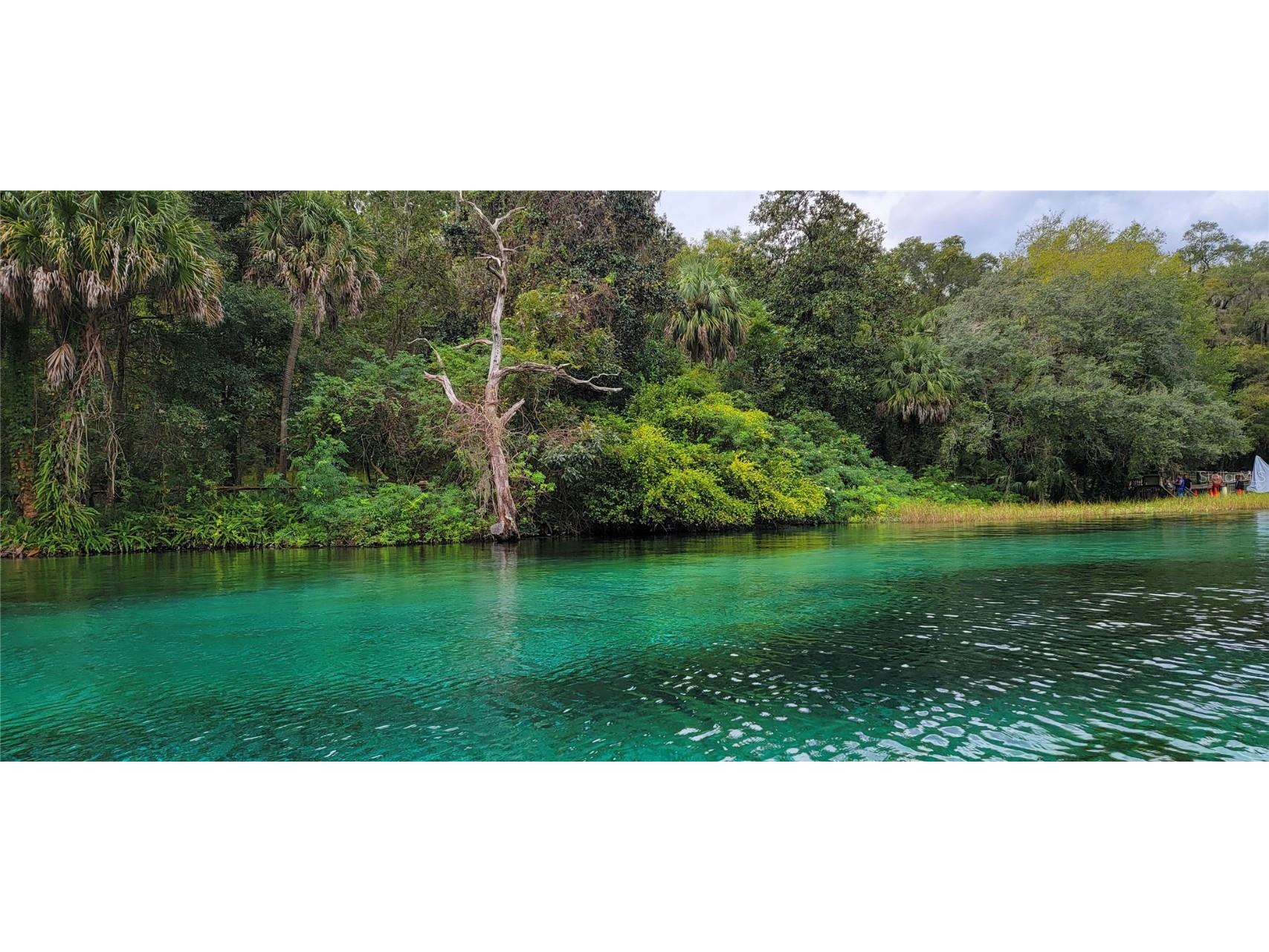 12190 Maple Street Dunnellon FL 34432 - THE RAINBOW RIVER OM687210 image94