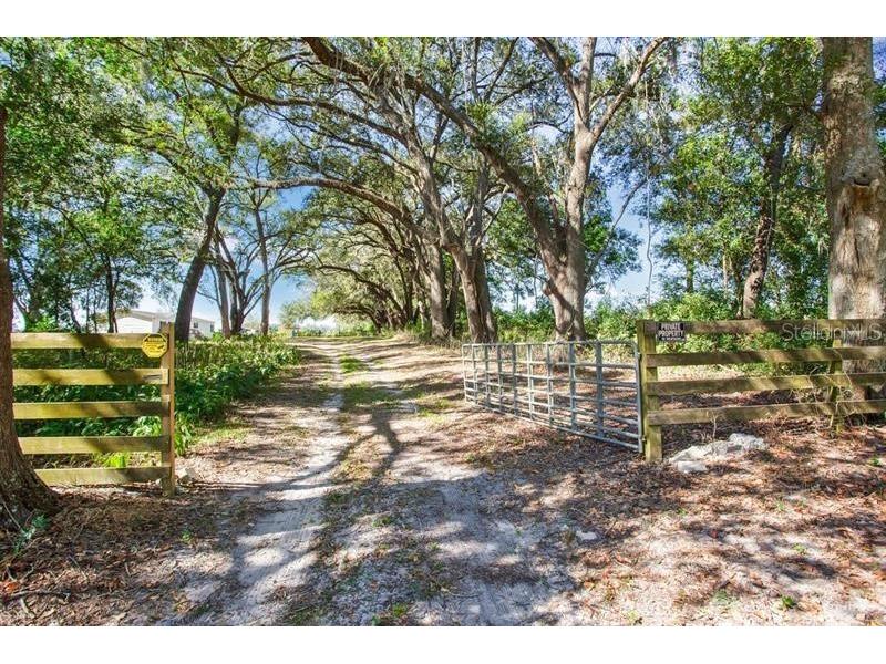 12190 NE 10th Avenue Trenton FL 32693 O6326518 image4