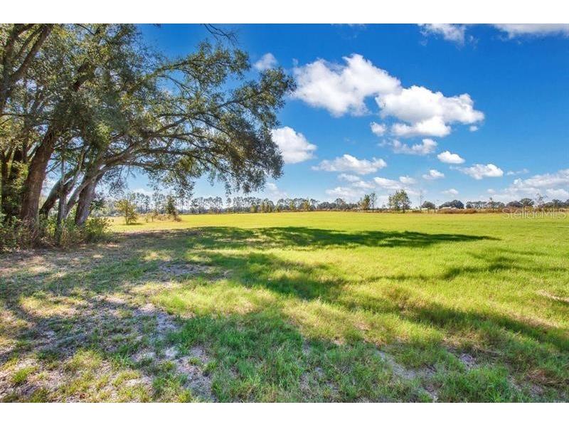 12190 NE 10th Avenue Trenton FL 32693 O6326518 image5