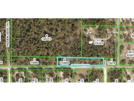 12191 Knuckey Road Weeki Wachee FL 34614 W7852013 image1