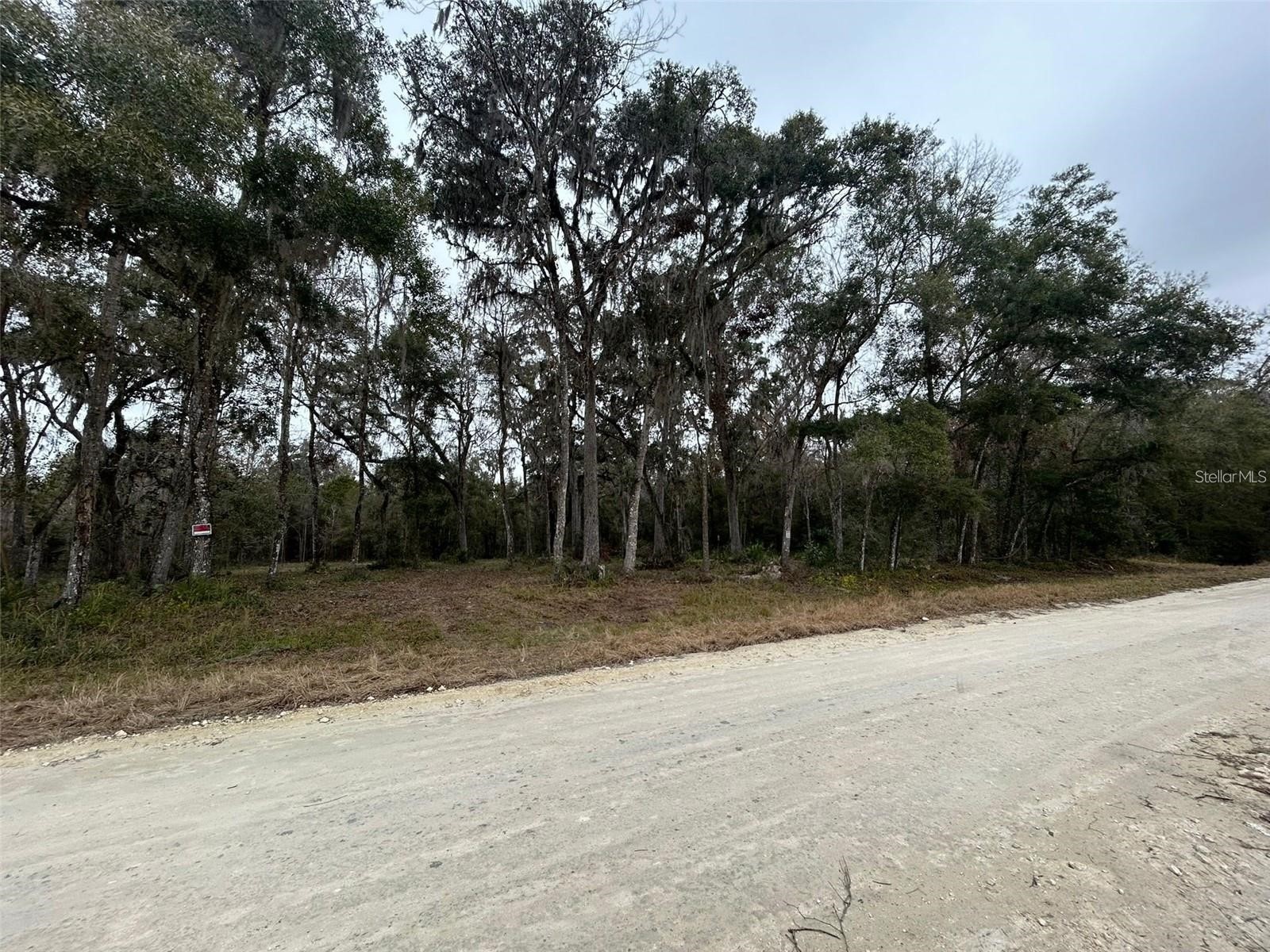 12191 NW 7th Place Ocala FL 34482 OM719718 image4
