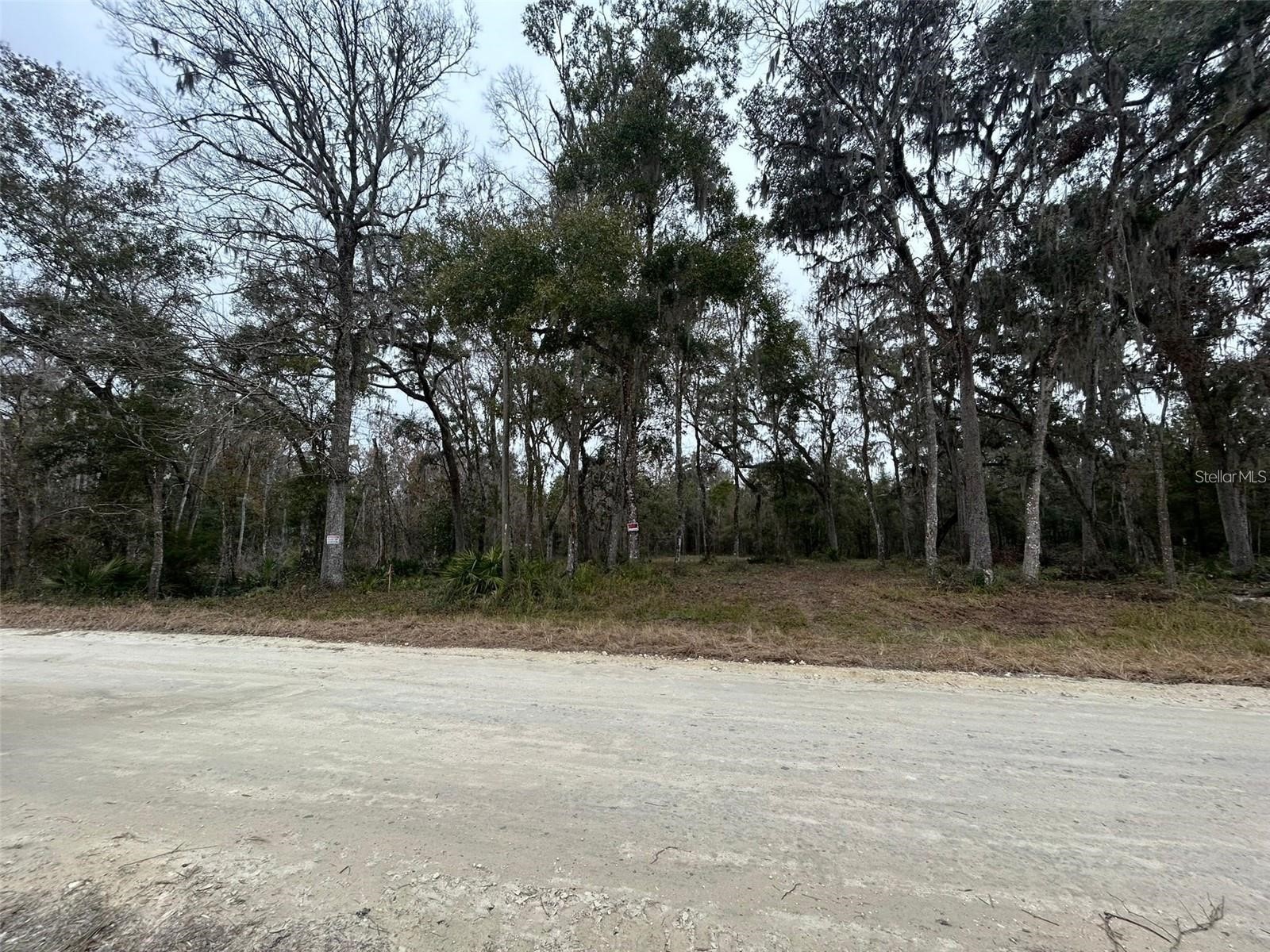 12191 NW 7th Place Ocala FL 34482 OM719718 image5