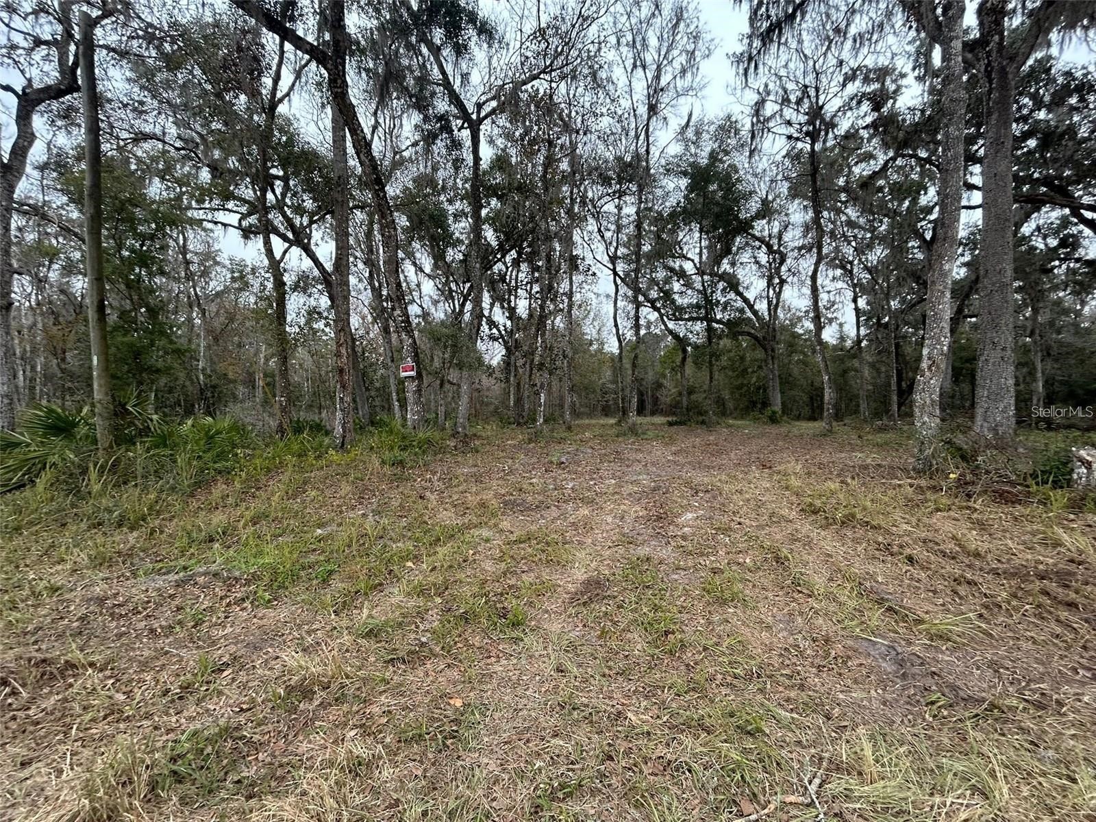 12191 NW 7th Place Ocala FL 34482 OM719718 image6