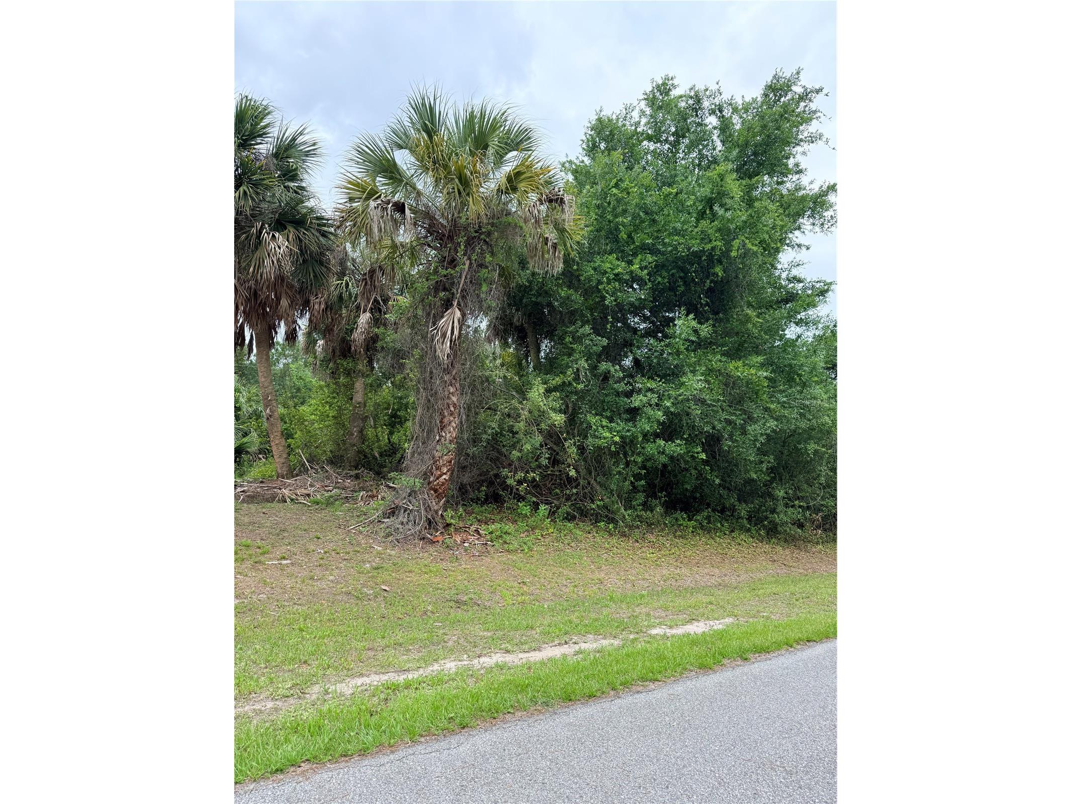 12192 Chamberlain Boulevard Port Charlotte FL 33953 C7526827 image1