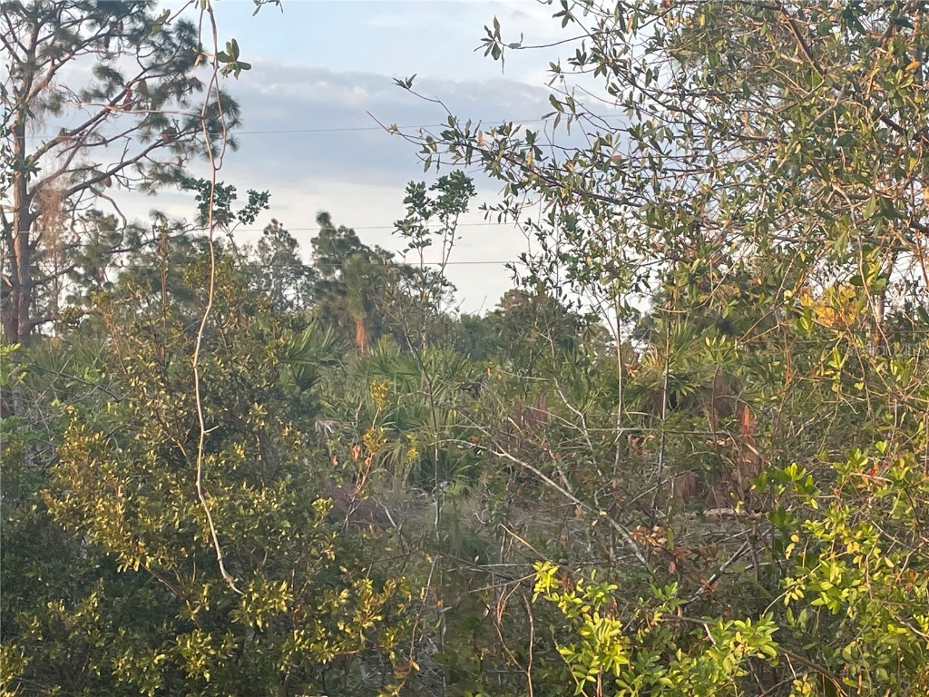 12192 Weimar Avenue Port Charlotte FL 33981 A4586508 image1