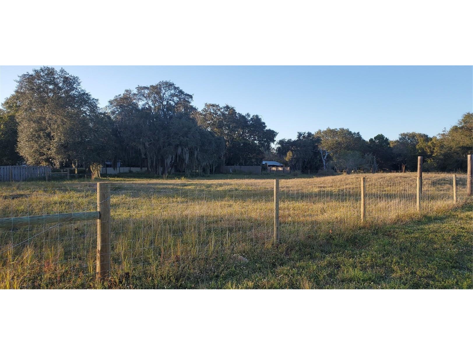 12193 SW Highway 17 Arcadia FL 34269 D6132953 image1