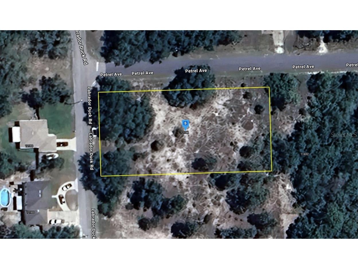 12194 Labrador Duck Road Weeki Wachee FL 34614 A4631962 image1