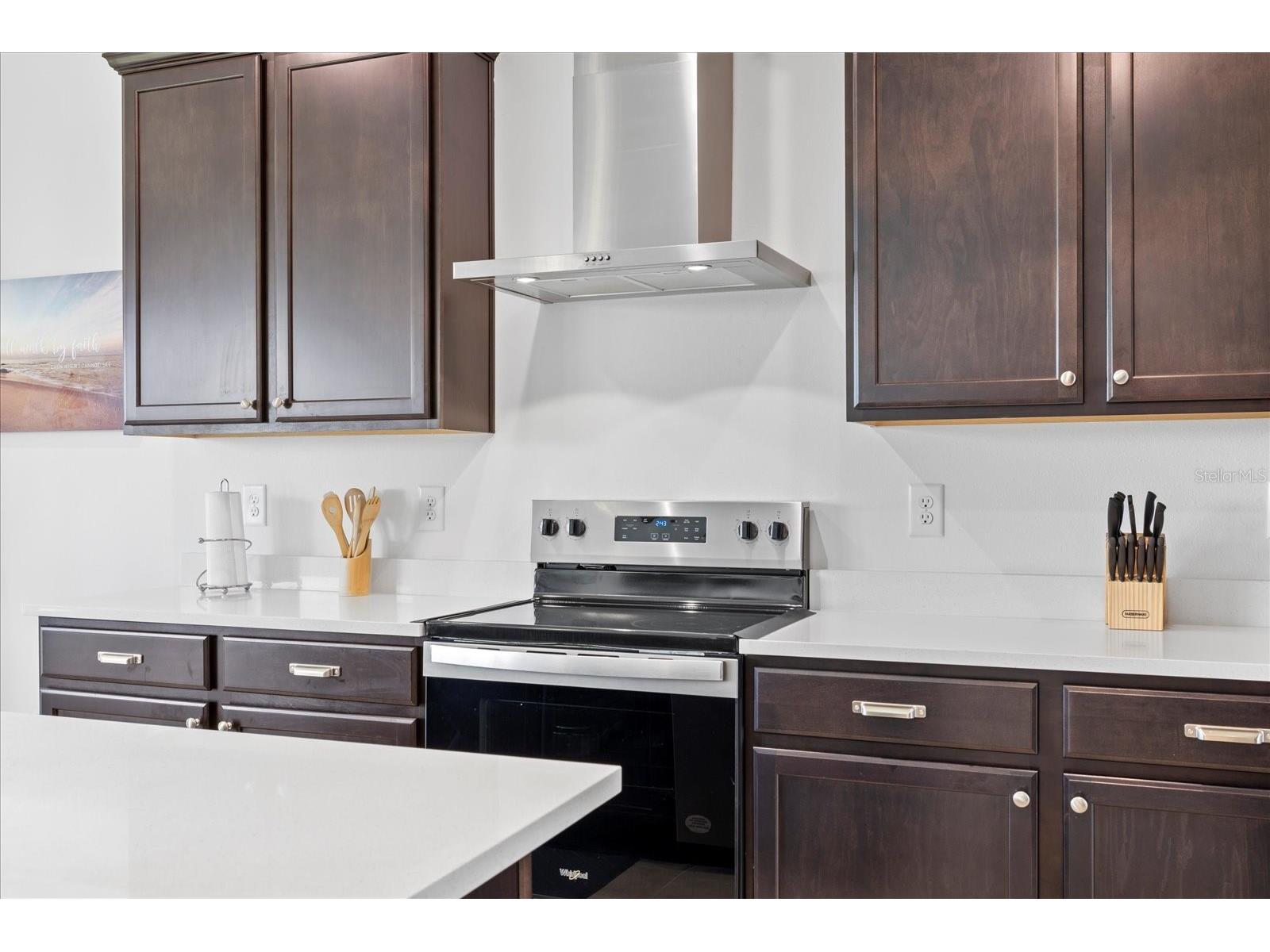 12195 Stirrup Drive Dade City FL 33525 TB8485118 image11