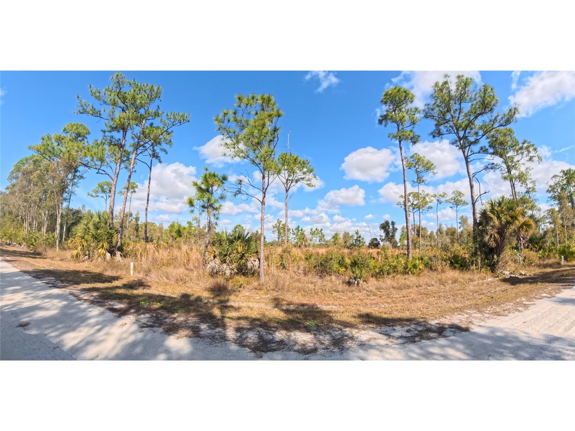 12196 Caravan Drive Punta Gorda FL 33955 C7520834 image1