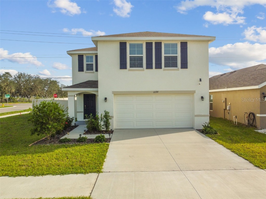 12197 Downy Birch Drive Riverview FL 33569 T3476904 image1