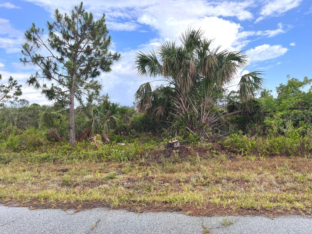 12197 Kelley Avenue Port Charlotte FL 33981 O6118045 image1