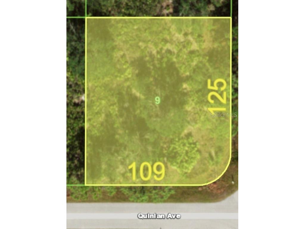 12198 Quinlan Avenue Port Charlotte FL 33981 A4588462 image1