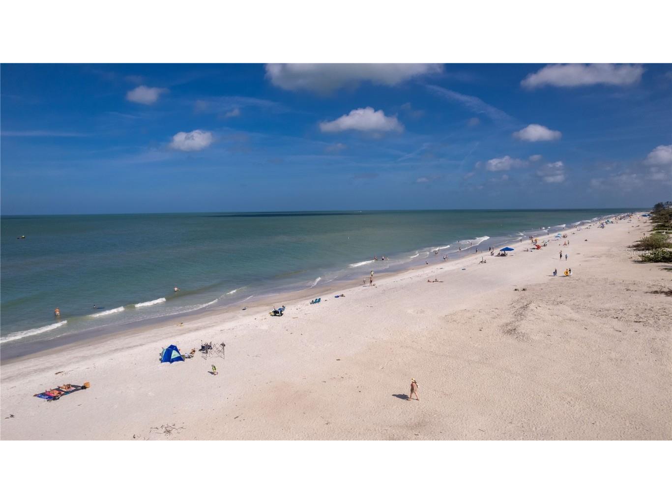 122 10th Avenue Indian Rocks Beach FL 33785 TB8374955 image12