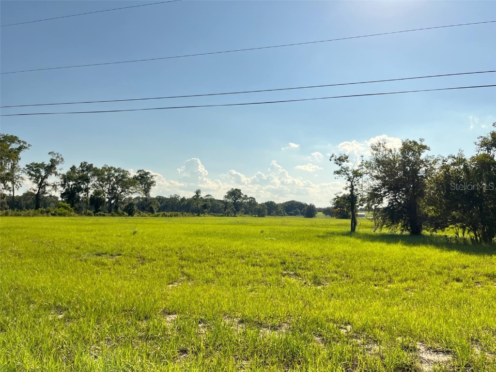 122-125 Miller Street Pomona Park FL 32181 V4944042 image4