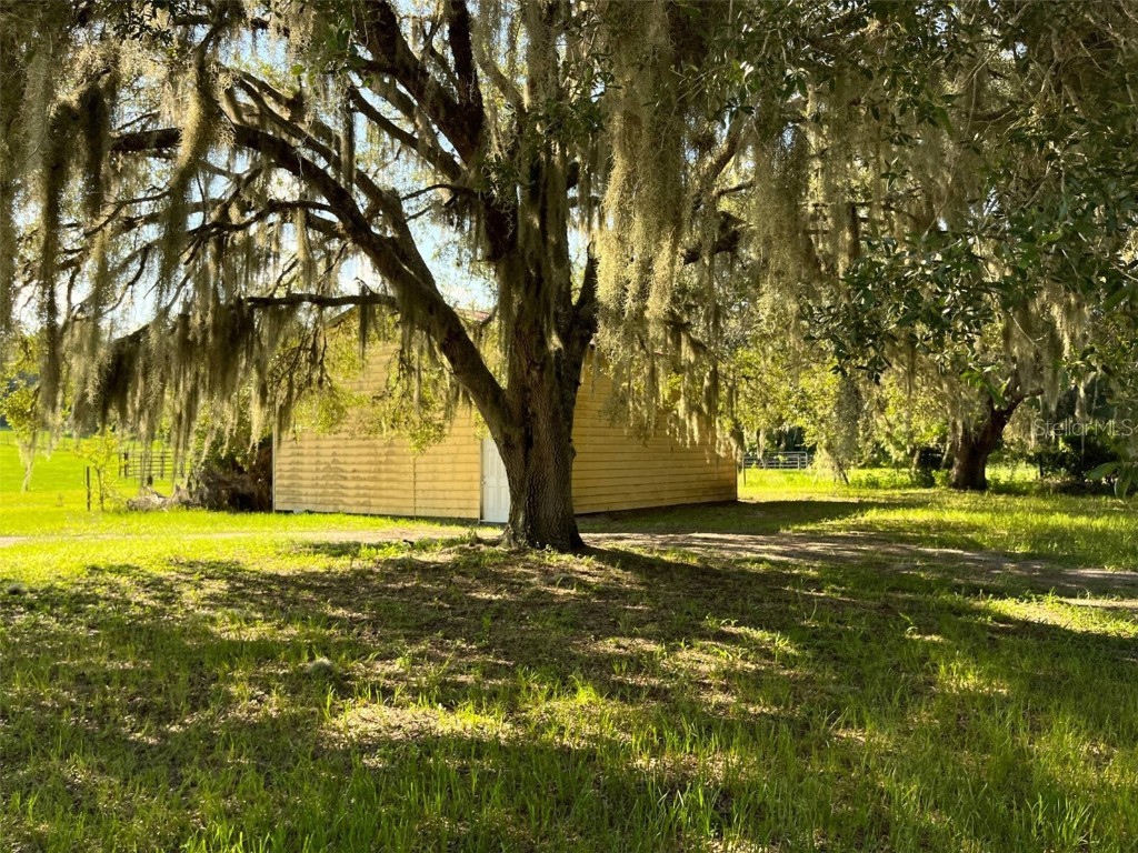 122-125 Miller Street Pomona Park FL 32181 V4944042 image9