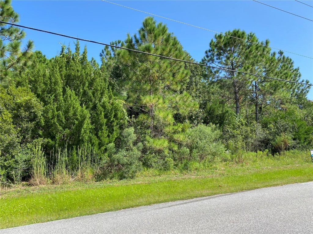 122 Bird Of Paradise Drive Palm Coast FL 32137 FC295173 image1