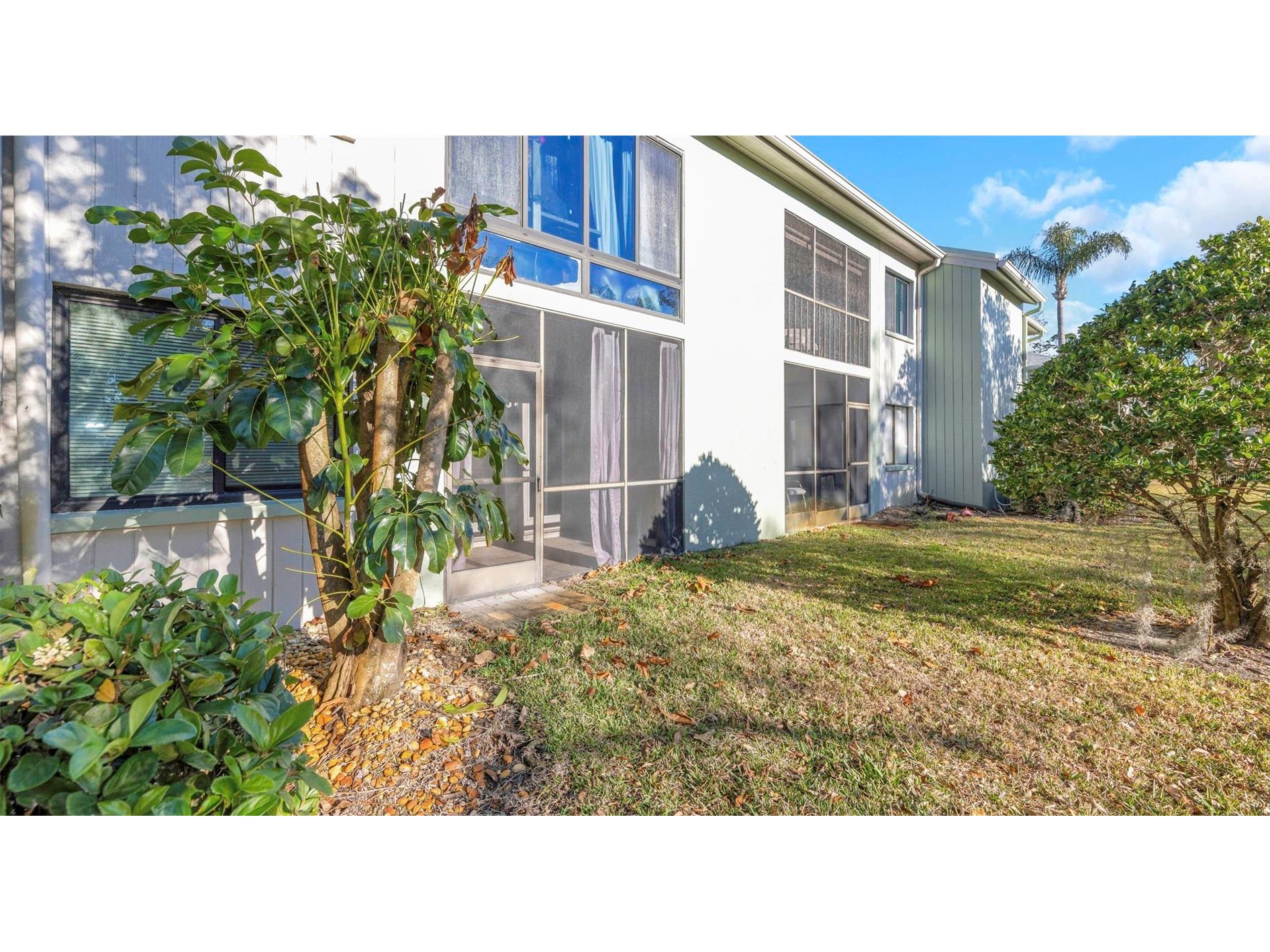 122 Caryl Way #122 Oldsmar FL 34677 TB8481510 image21