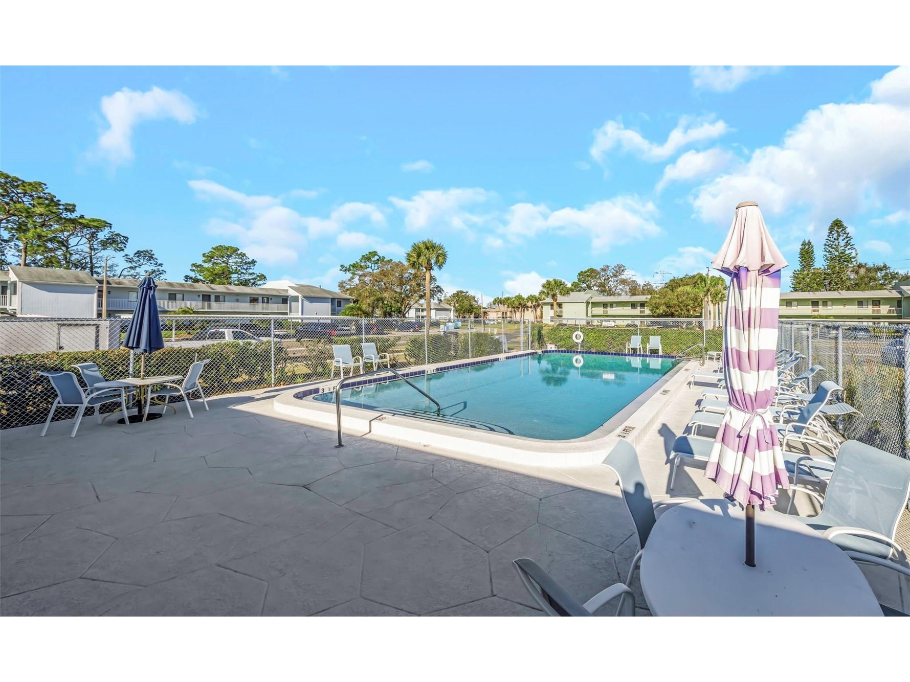 122 Caryl Way #122 Oldsmar FL 34677 TB8481510 image27