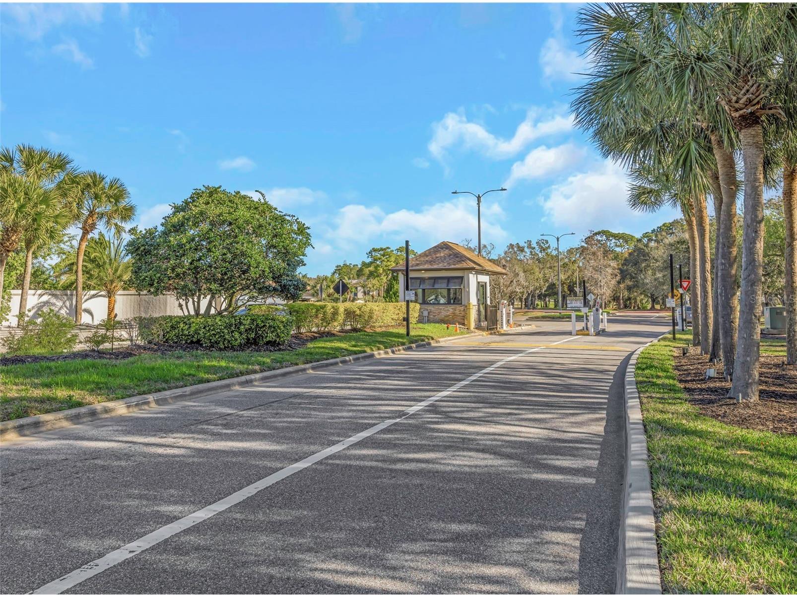122 Caryl Way #122 Oldsmar FL 34677 TB8481510 image30